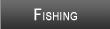 Wheeler Lake Fishing